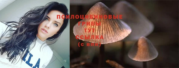 COCAINE Костерёво