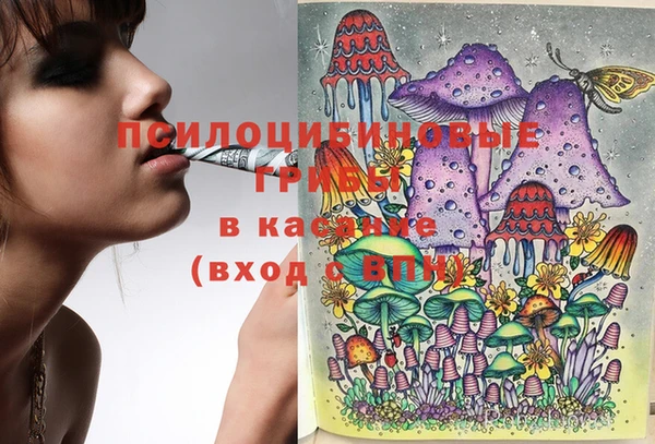 тгк Коряжма