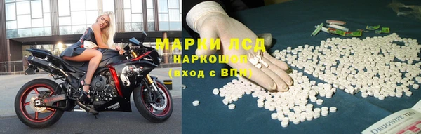 индика Краснослободск